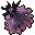 Crown (Plant)