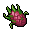 Dragonfruit