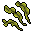 Hydrophytes