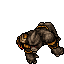 Kongra