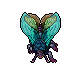 Lacewing Moth
