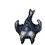 Manta Ray