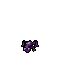 Orchid Frog