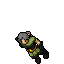 Paladin's Apparition