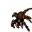 Sacred Spider