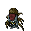Cave Tarantula
